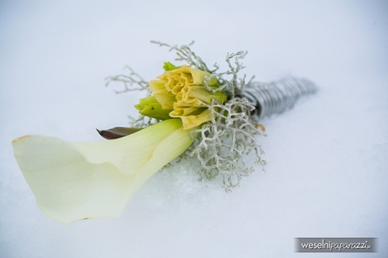 Panna Młoda inspirowana Królową Śniegu - sesja zdjęciowa
