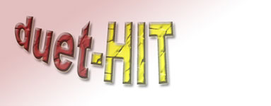 Duet-hit, zespół weselny