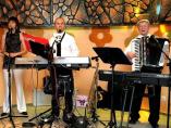 Portal ślubny, Akordeonista Przyjęcia Wesele, zespół weselny