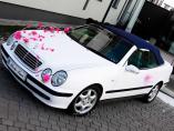 Cabrio do ślubu - Mercedes! Auto do ślubu