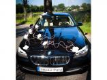 Portal ślubny, Najnowszy model BMW 5, auto do ślubu
