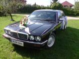 Jaguar do ślubu, auto do ślubu